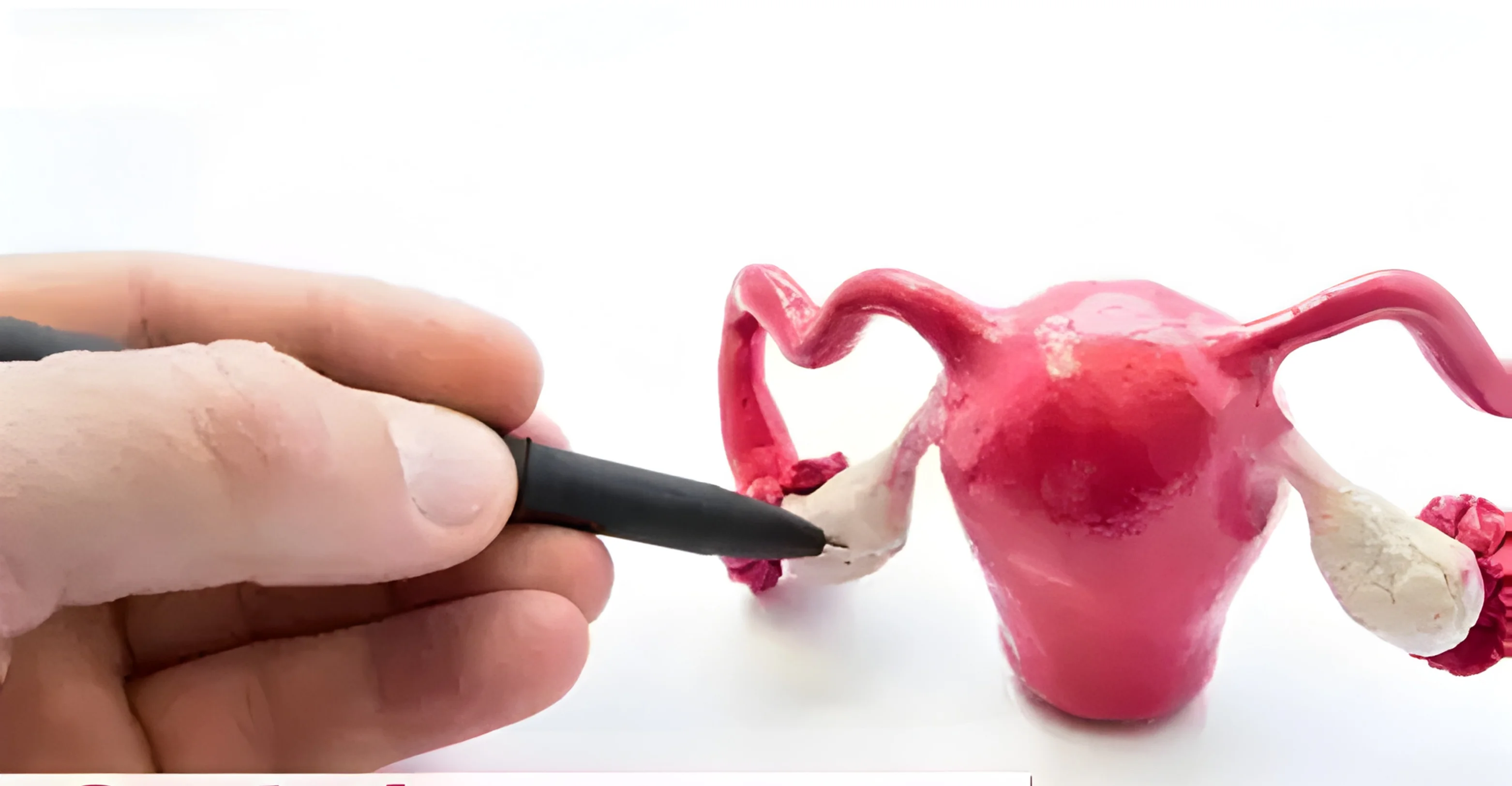 Best Fertility clinic in hyderabad Ovulation Induction Treatment
