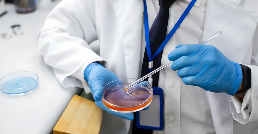 What an IVF cycle actually looks like, week by week